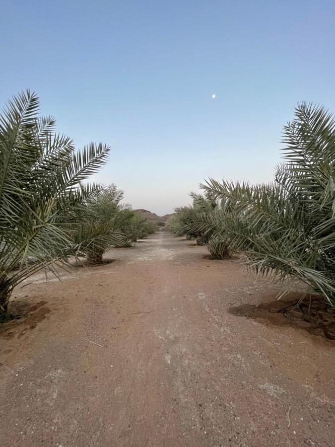Alreef Farm * Ras el Kaïmah